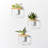 5'' H Wall Wall Sconce-1950924776