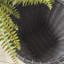 Weside Alvero Baskets