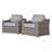 Fully Assembled Patio Chair With Cushions 2-847087019