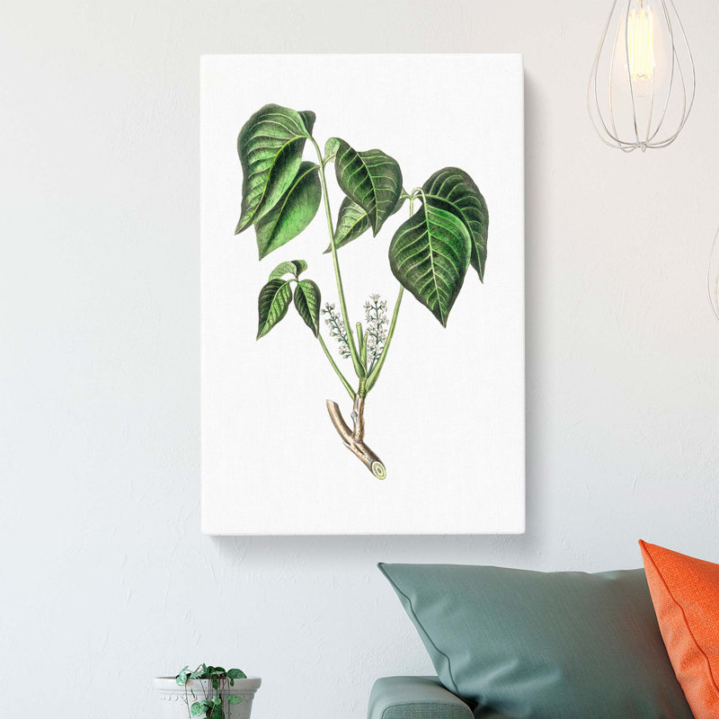 Poison Ivy Illustration - Wrapped Canvas, 60cm H x 40cm W x 3cm D
