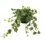 Jenner Faux Ivy Plant in Glass Vase