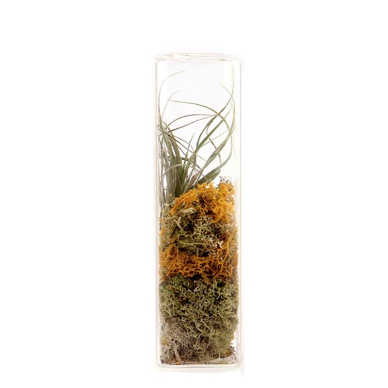 Glass Table Vase, X-Large