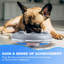 Jouets interactifs pour chien-119921552