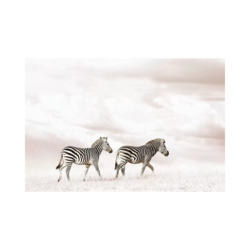 White Zebra Duo by Klaus Tiedge - Print on Canvas, Wrapped Canvas, 20.32 cm H x 30.48 cm W