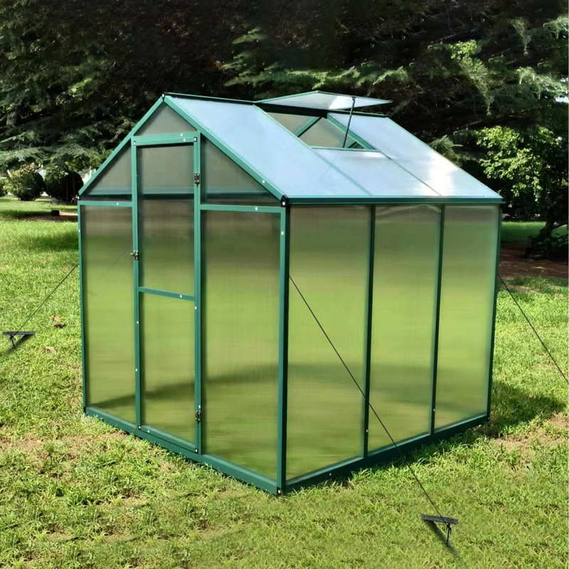 Serre en polycarbonate 6 x 6 pi - Fabrication en aluminium résistante au vent et à hauteur de gain pour la cour toute l'année