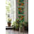 Spring Chapel Window Film Set of 2