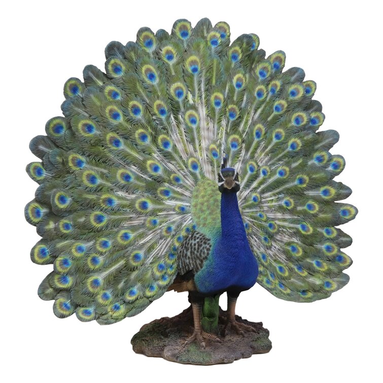 World Menagerie Dureau Peacock Decor & Reviews