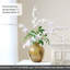 Anantara Grand Bouquet