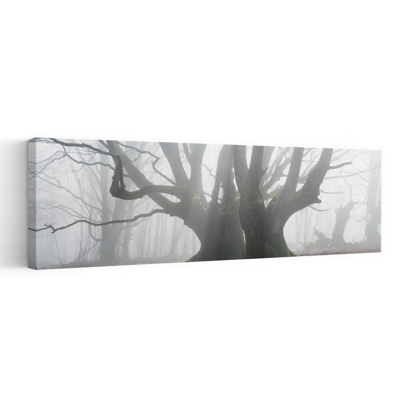 «Enchanted Misty Forest Ethereal Mystical Peaceful Moss Forest», art mural, H 16 po x l 48 po