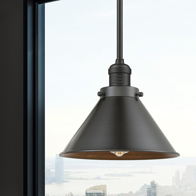 Paylor 1 - Light Single Pendant, Oil Rubbed Bronze, No Bulb Included, Oil Rubbed Bronze