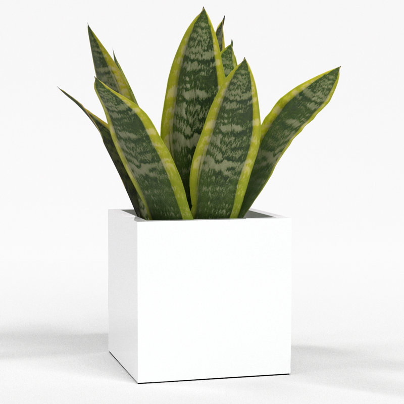 Greenline Fiberglass Jack Medium Indoor/Outdoor Square Cube Planter, 7" H x 7" W x 7" D, Gloss White