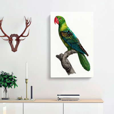 Great-Billed Parrot by F. Levaillant - Wrapped Canvas Painting