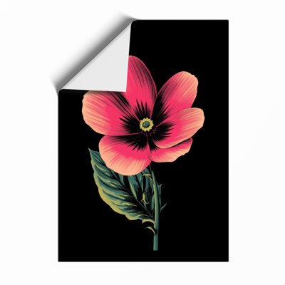 Pink Cosmos Study Botanical - Framed Print