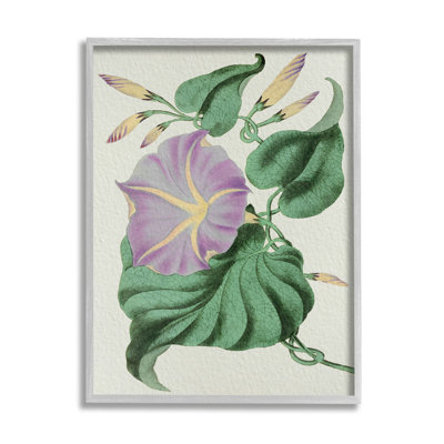 Étude florale rétro mauve jaune matin