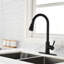 Robinet de cuisine avec douchette extractible-119337352