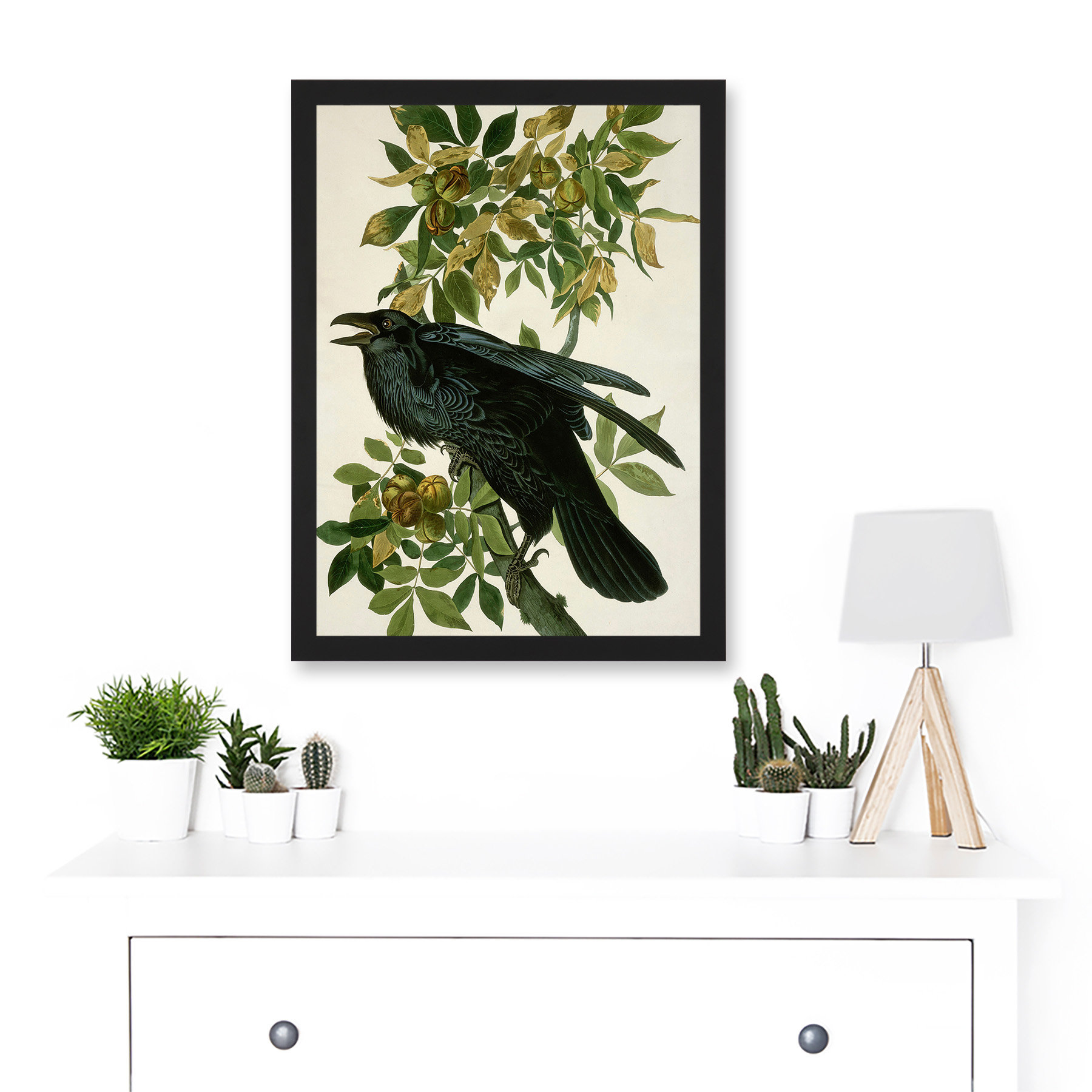 Marlow Home Co. Painting Nature Animal Bird Audubon Picture Framed ...