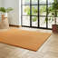 Tejal area rug Machine Woven Rectangle Camel-1951937592