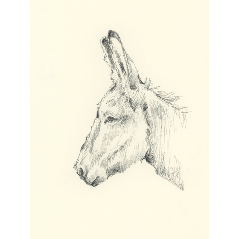Tamim Donkey Study II by Ethan Harper - Wrapped Canvas Print, 46 cm H x 30 cm W