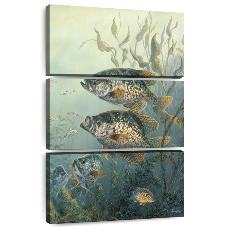 Brampt Black Crappies, 38" H x 24" W