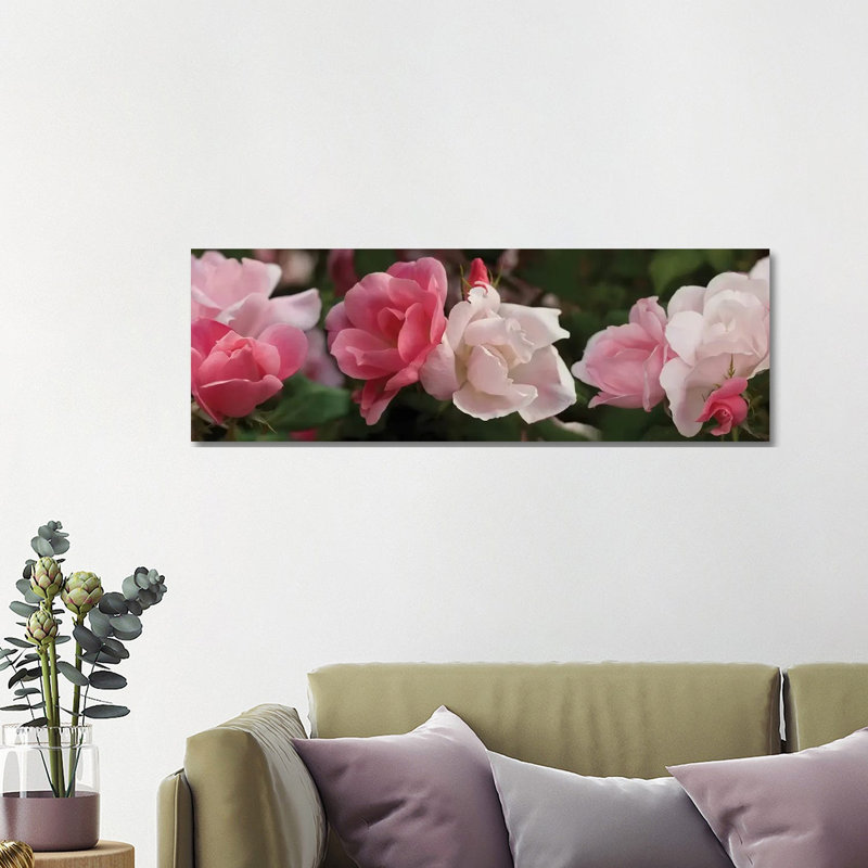 Close-Up Of Pink And White Roses by Panoramic Images - Wrapped Canvas Panoramic Print, 121.92 cm H x 40.64 cm W x 1.91 cm D