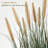 4ft Artificial Onion Grass Plant with 7 Feathery Flower Heads, Faux Horsetail Reed Grass in Pot, Indoor Outdoor Realistic Floor Greenery for Home Office Décor-926450179