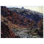 Claude Monet - Wrapped Canvas Painting-21211021