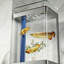 Aquarium 78-88 gallons-129197659-129197656