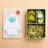 3 Sprouts - Silicone Lunch Bento Box for Kids - Food Storage Container - Yeti