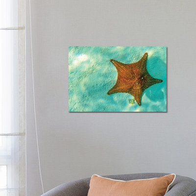 Starfish In Sea With Copy Space by Susan Schmitz - Wrapped Canvas Gallery-Wrapped Canvas Giclée