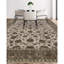 Oriental Indoor Rug