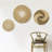 Seaweed Wall Organizer