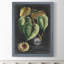 « royal feuillage i » par paul cezanne-photo-cadre, reproduction d’art-1507688354-1507688409
