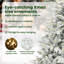 Artificial Pre-lit Christmas Tree with Ball Set-1130164444-1130164424