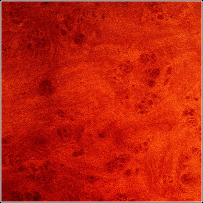 31.49'' Faux Burl Wood Pattern Decal Coffee Table with Sturdy Pedestal for Modern Living Rooms and Apartments