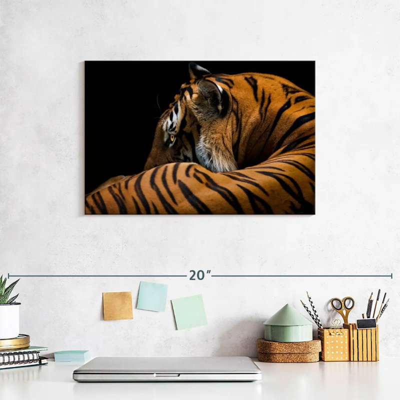 Brampt Majestic Tiger, 8" H x 12" W