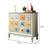 Hand-Painted Art Cabinet with Large Storage