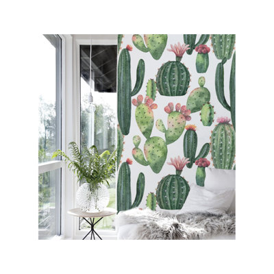 Fallinerlea Cacti Botanical Desert Mexican Thorny Ery Wallpaper