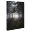 White Wolf In A Forest - Wrapped Canvas-56661512