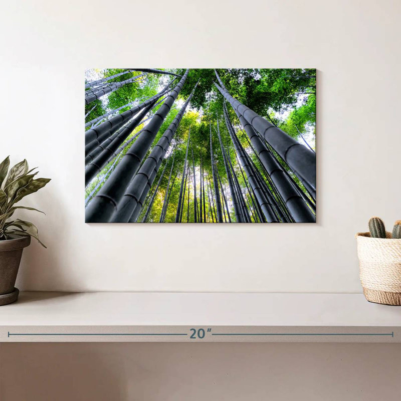 Alvord Bamboo Forest Sky Light, 8" H x 12" W