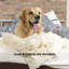 Wood Free Standing Pet Gate-1656577397