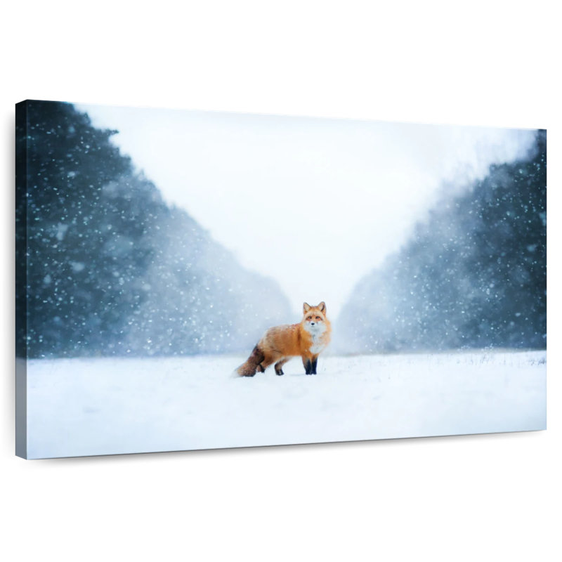 Brampt Red Fox In The Snow, 16" H x 24" W
