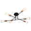 Oriole Spotlight-790386022-790386017
