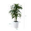 Dracaena vert artificiel Adcock résistant aux rayons UV, faux arbre avec une grande base pour l'intérieur et l'extérieur-953117990-953118008
