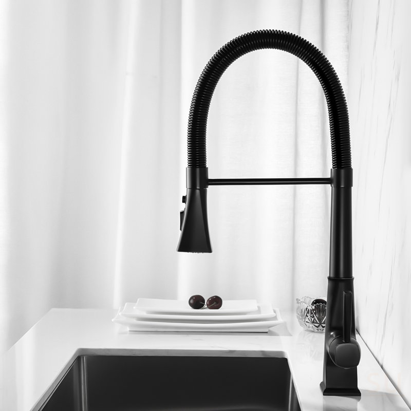 Kitchen Faucet With Pull Down Sprayer