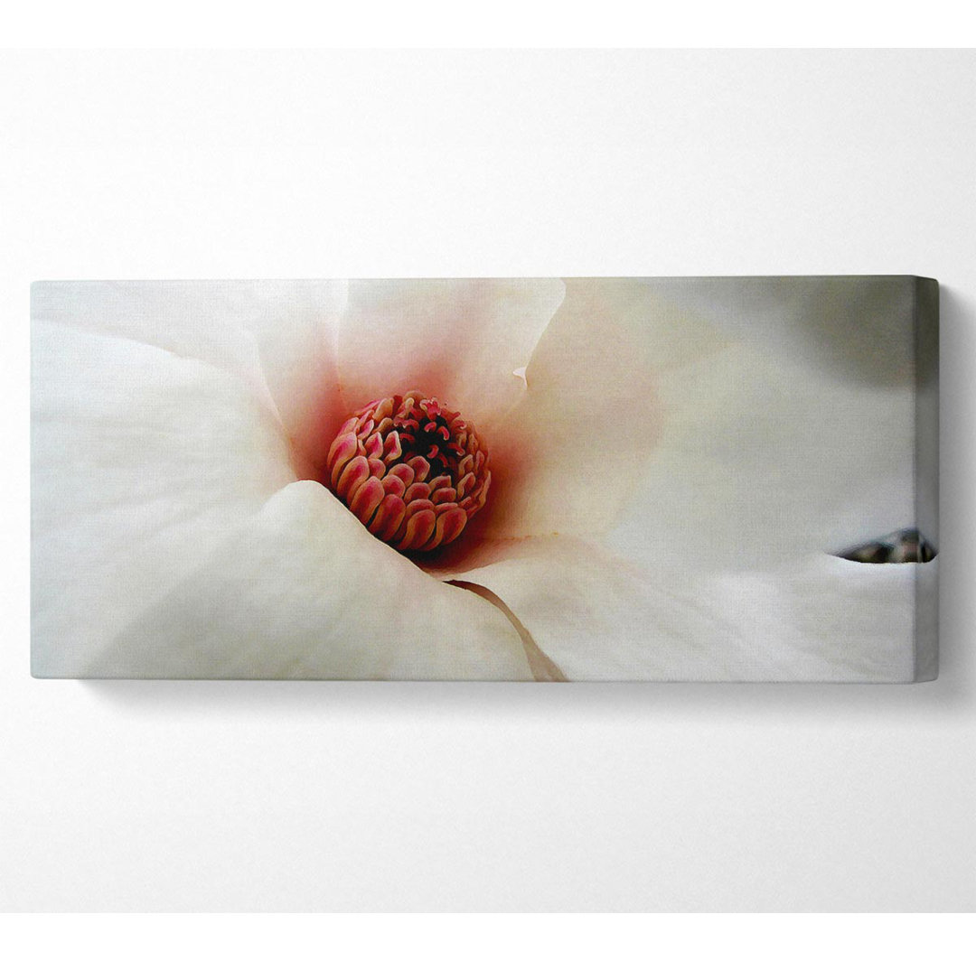 Soft Pink Centre - Panorama-Kunstdrucke auf Leinwand - Wrapped Canvas