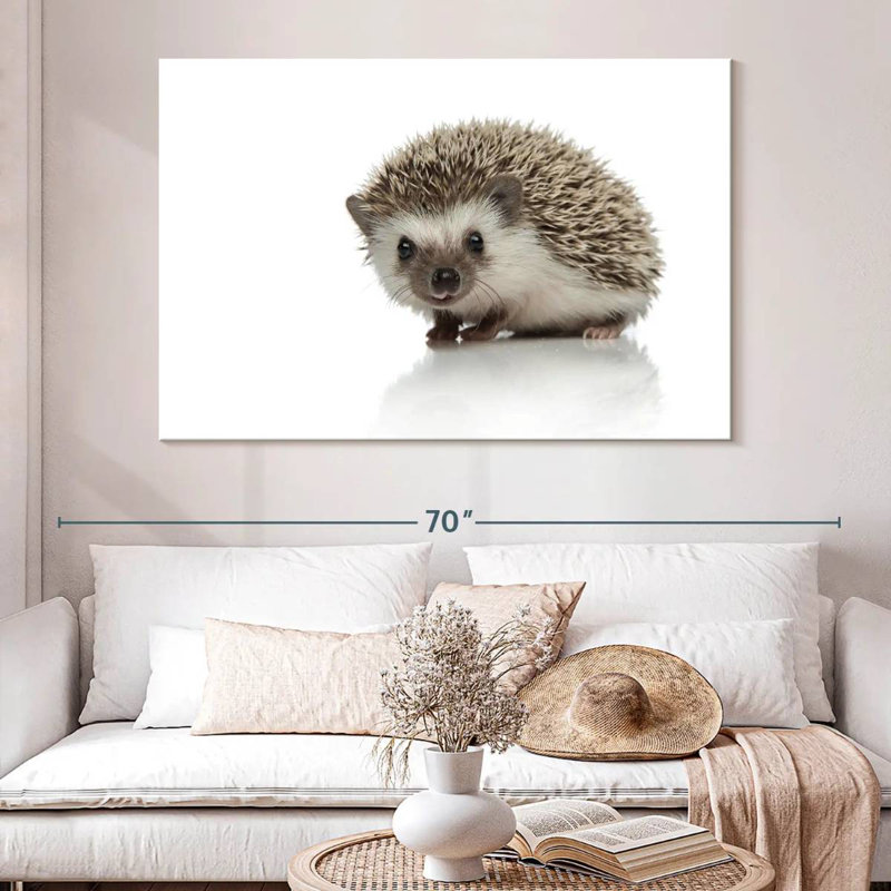 Brampt African Hedgehog, 34" H x 51" W