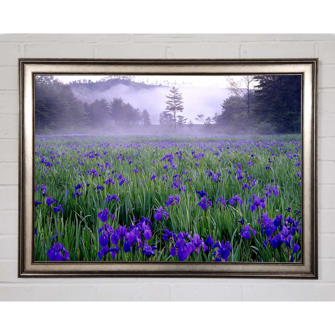 Bluebell Mist Gerahmter Druck Wandkunst