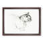 Cat by Jean Bernard - Picture Frame Drawing Print-55513515-55513514