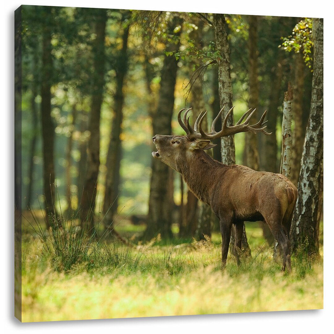 Leinwandbild Hirsch im Wald