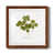 Maple Framed Paper